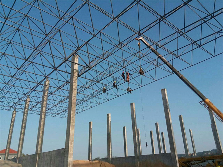 陕西加气站钢结构网架案例10